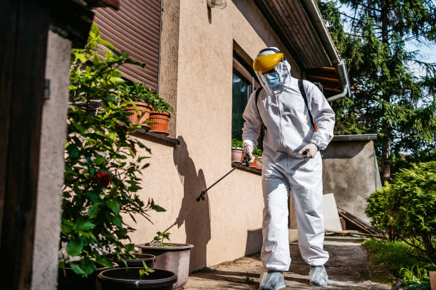 Best Pest Control Near Me  in Camp Barrett, VA