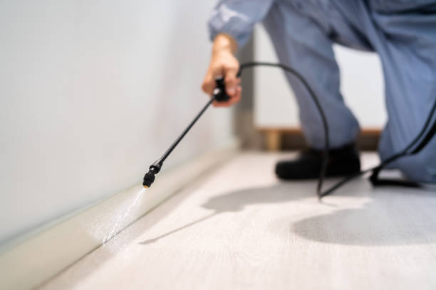 Best Affordable Pest Control Services  in Camp Barrett, VA