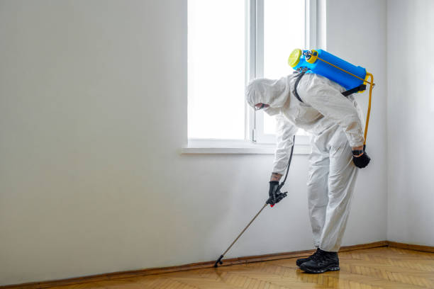 Trusted Camp Barrett, VA Pest Control Experts