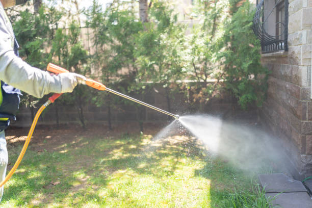 Best Mosquito Control Services  in Camp Barrett, VA