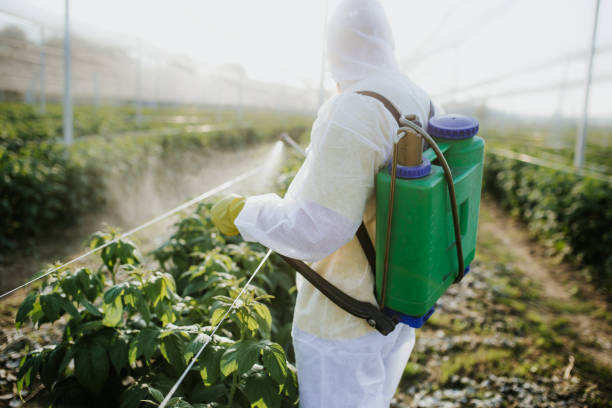 Best Commercial Pest Control Services  in Camp Barrett, VA